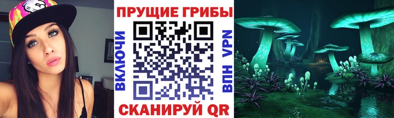 Купить  Минусинск  Псилоцибиновые грибы прущие грибы 